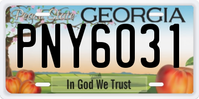 GA license plate PNY6031