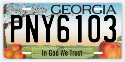 GA license plate PNY6103