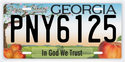 GA license plate PNY6125