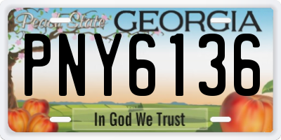 GA license plate PNY6136