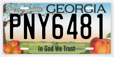 GA license plate PNY6481