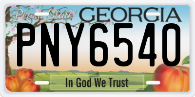GA license plate PNY6540
