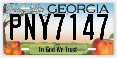 GA license plate PNY7147