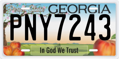 GA license plate PNY7243