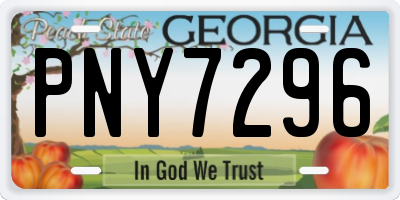 GA license plate PNY7296