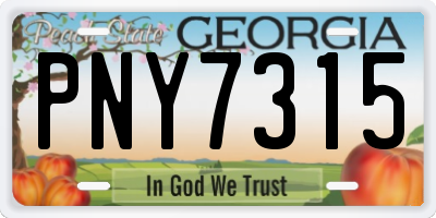GA license plate PNY7315