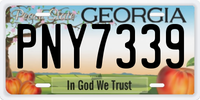 GA license plate PNY7339