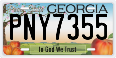GA license plate PNY7355
