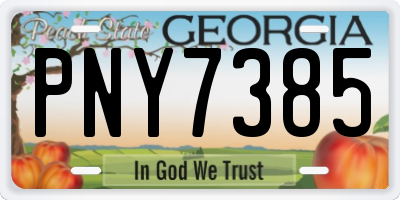 GA license plate PNY7385