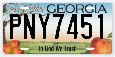 GA license plate PNY7451