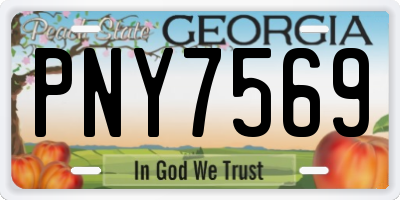 GA license plate PNY7569