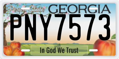 GA license plate PNY7573
