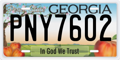 GA license plate PNY7602