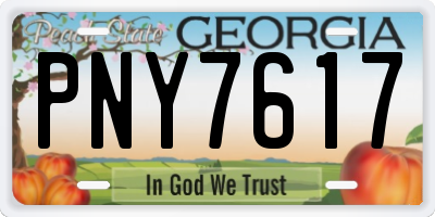 GA license plate PNY7617