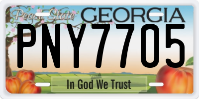 GA license plate PNY7705