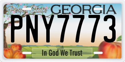 GA license plate PNY7773