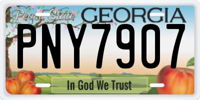 GA license plate PNY7907