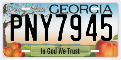 GA license plate PNY7945