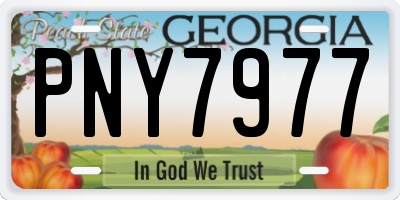 GA license plate PNY7977