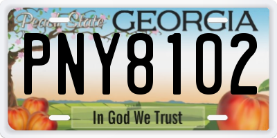 GA license plate PNY8102