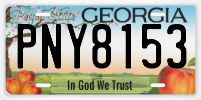 GA license plate PNY8153