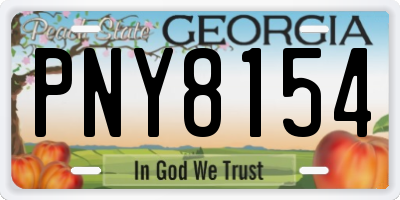 GA license plate PNY8154