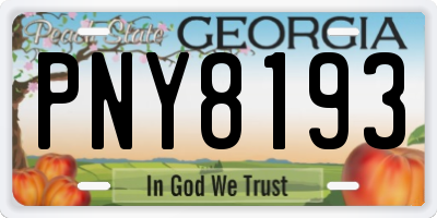 GA license plate PNY8193
