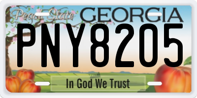 GA license plate PNY8205