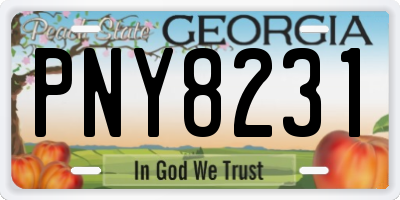GA license plate PNY8231