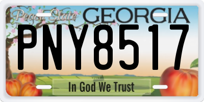GA license plate PNY8517