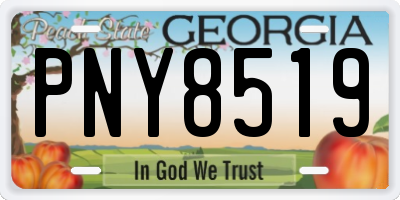 GA license plate PNY8519