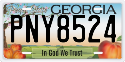 GA license plate PNY8524