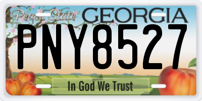 GA license plate PNY8527