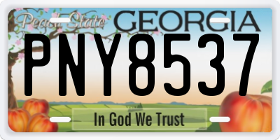GA license plate PNY8537