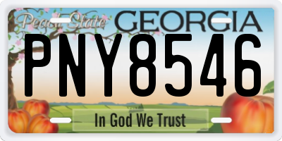 GA license plate PNY8546