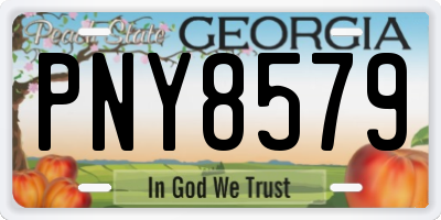GA license plate PNY8579