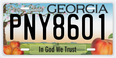GA license plate PNY8601