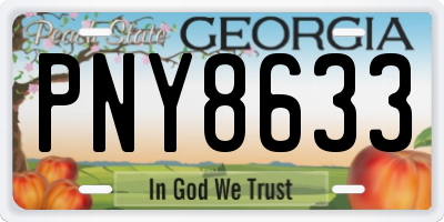 GA license plate PNY8633