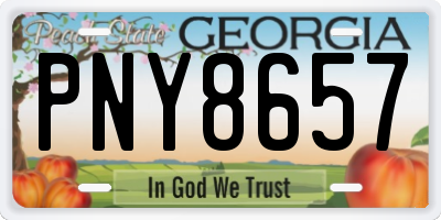 GA license plate PNY8657