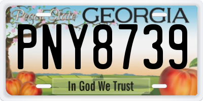 GA license plate PNY8739