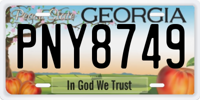 GA license plate PNY8749