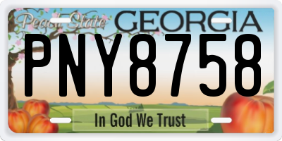GA license plate PNY8758