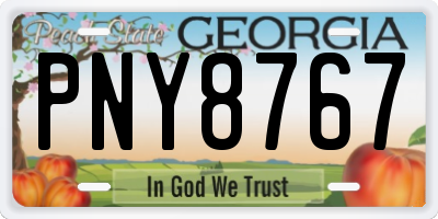 GA license plate PNY8767