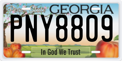 GA license plate PNY8809