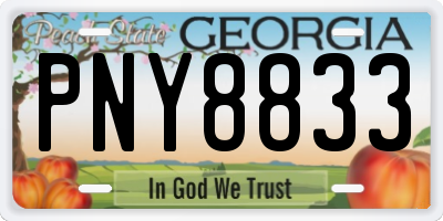 GA license plate PNY8833