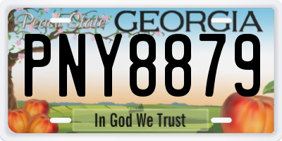 GA license plate PNY8879