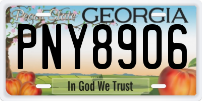 GA license plate PNY8906