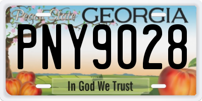 GA license plate PNY9028