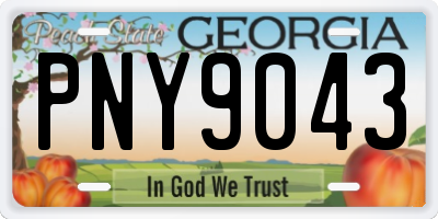 GA license plate PNY9043