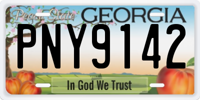 GA license plate PNY9142